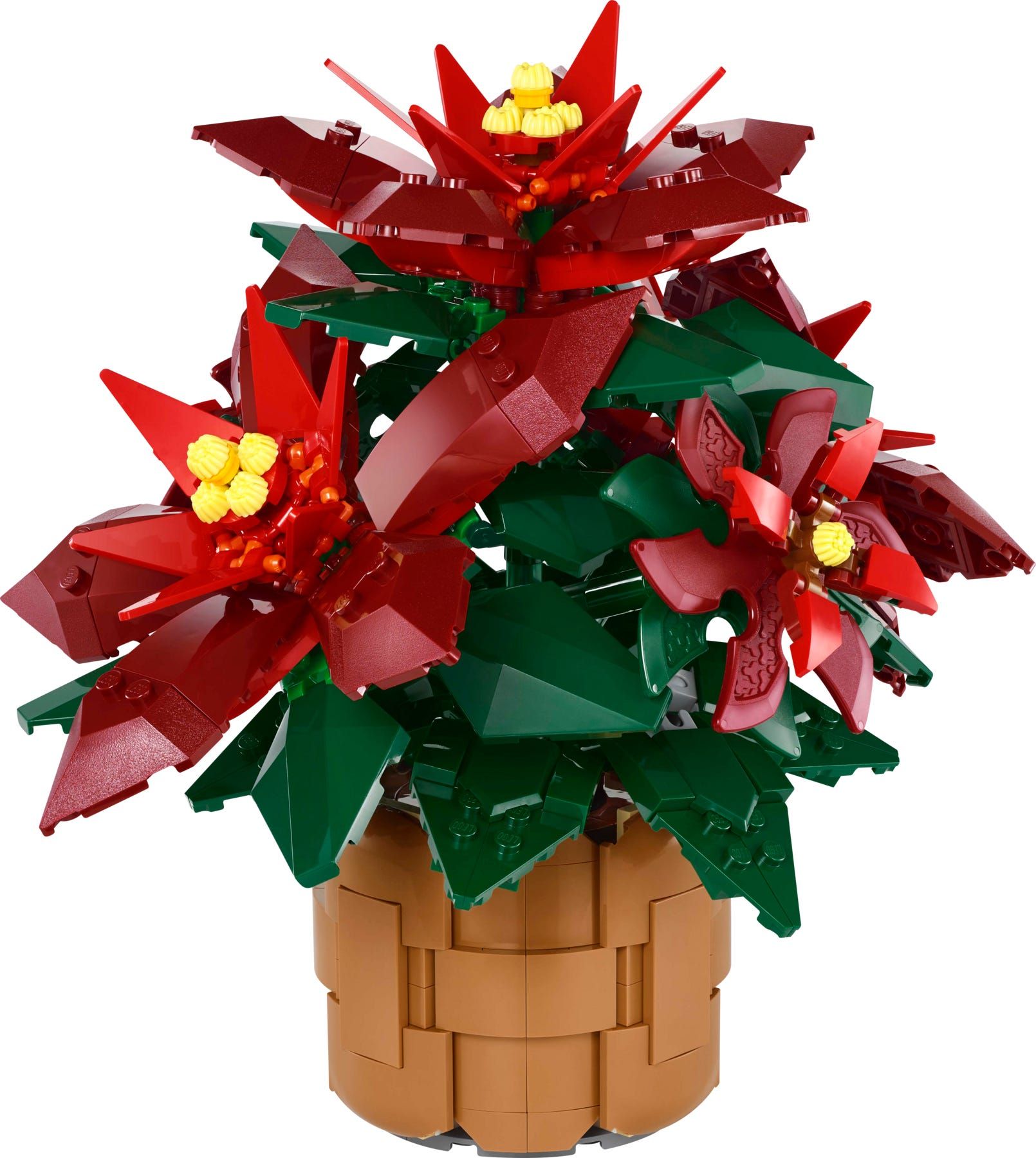 LEGO Icons Kerstster Poinsettia - 10370