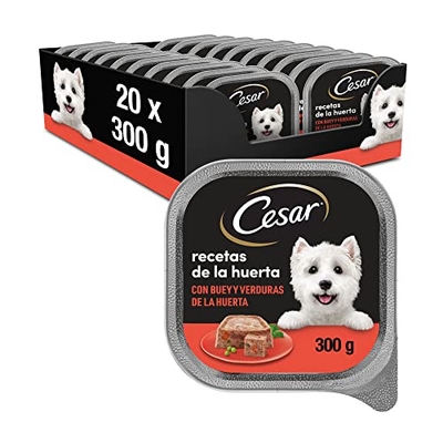 Cesar Natvoer in gelei voor honden, ossmaak en groenten, verpakking met 20 containers x 300 g - natvoer honden