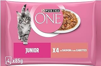 Purina ONE,filets in saus met zalm, 48 x 85 gr - natvoer katten