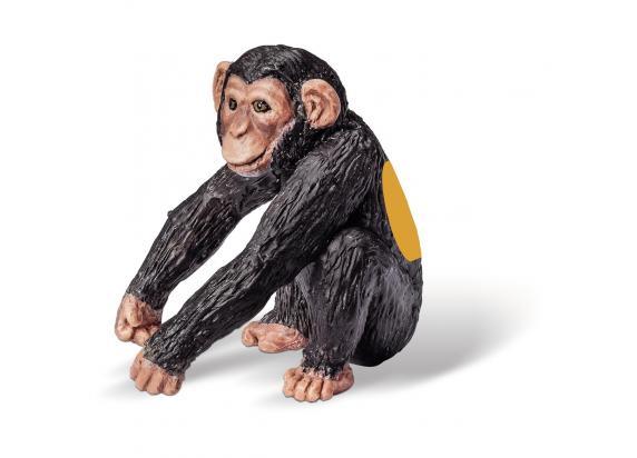 Ravensburger - Tiptoi Chimpansee jong