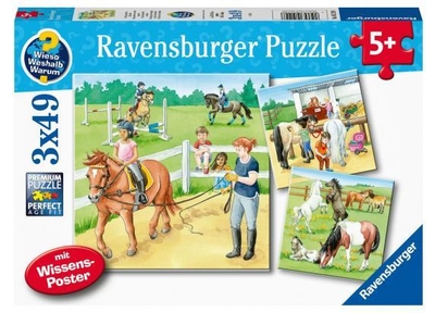 Ravensburger WWW-Puzzles Pferde 3x49st