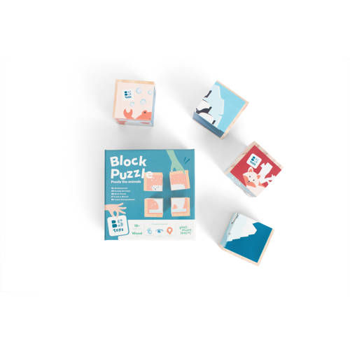 BS Toys Blokkenpuzzel