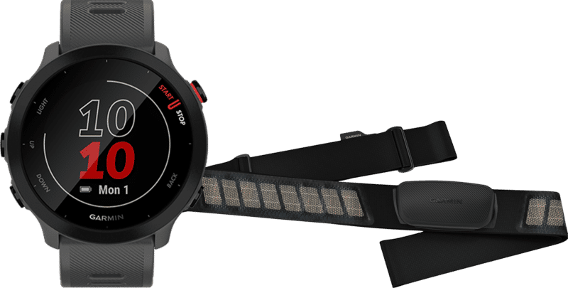 Garmin Forerunner 55 Grijs + Garmin HRM-DUAL Hartslagmeter Borstband Zwart