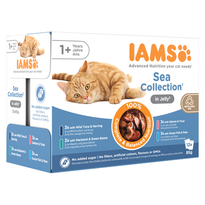24x85g Sea Mix in Gelei IAMS Delights Kattenvoer - natvoer katten