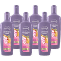 Andrélon Levendig Lang shampoo - 6 x 300 ml