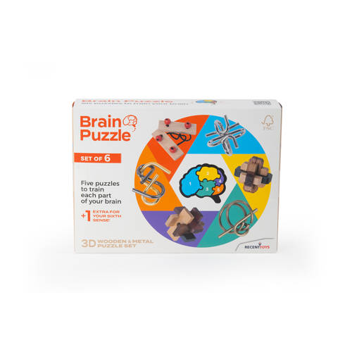 Recent Toys Brain Puzzle set of 6