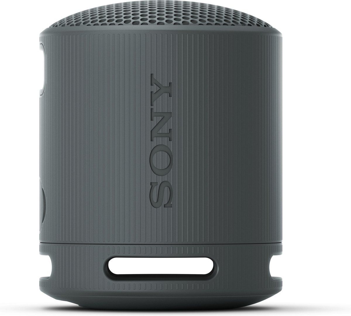 Sony SRS-XB100 Zwart