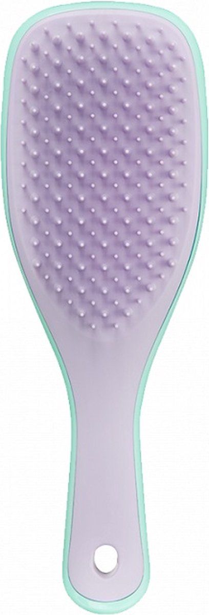 Tangle Teezer Wet Detangling Hairbrush