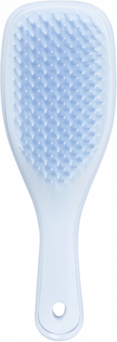 Tangle Teezer Detangling Hairbrush Mini - Lavender 1ST