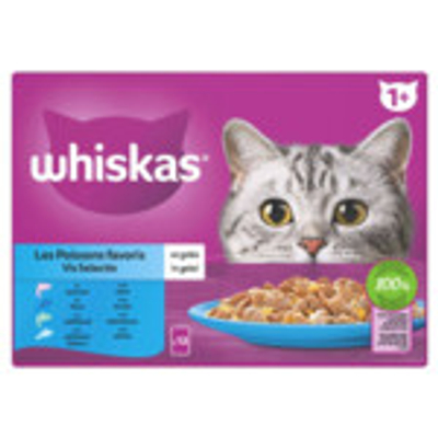 Whiskas 1+ Vis Selectie in Gelei Maaltijdzakjes Multipack 24 x 85 gr - natvoer katten