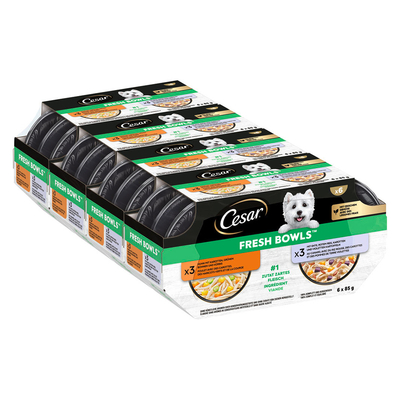 Voordeelpakket: 96x85g Cesar Verse Schalen Kip & Eend in saus natvoer voor honden - natvoer honden