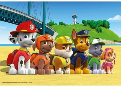 Ravensburger Paw Patrol: Dappere Honden - Puzzel (2x24)