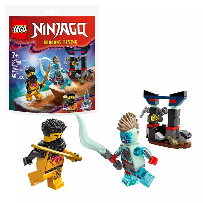 LEGO Ninjago - Arin vs Dragonian Battle 30700
