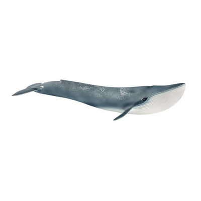 schleich WILD LIFE blauwe vinvis 14806
