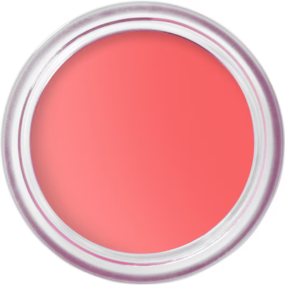 Bobbi Brown Wangen Pot Rouge Velvet Matte Blush Dames 8,5 g