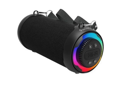Denver Denver BTG-213 Bluetooth Speaker Zwart