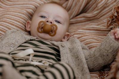 Bibs Supreme Woodchuck/Blush 6+ mnd 2 Stuks Silicone Fopspeen 260337