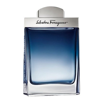 Salvatore Ferragamo Subtil Homme Eau de Toilette 100 ml