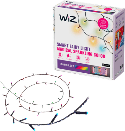 WiZ Slimme Lichtslinger - 20 meter - 160 LED