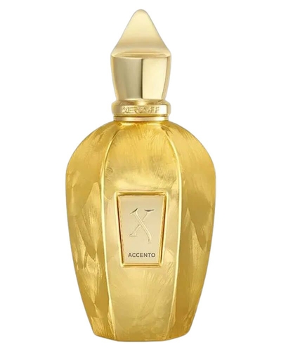 Xerjoff Accento Overdose EDP 100 ml