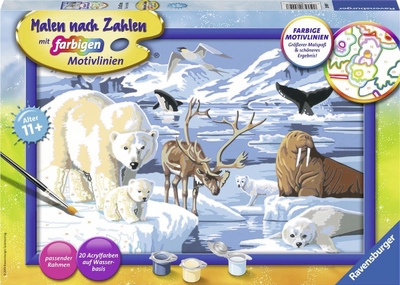 Ravensburger Schilderen op nummer Dieren van de Arctis - Hobbypakket