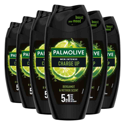 6x Palmolive Men Douchegel 5in1 Charge Up 250 ml