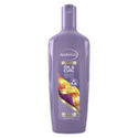 6x Andrelon Shampoo Oil & Curl 300 ml