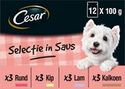 Cesar Selectie in Saus Maaltijdzakjes Honden Natvoer - Vlees en Groenten in Saus - 48 x 100 gr - natvoer honden