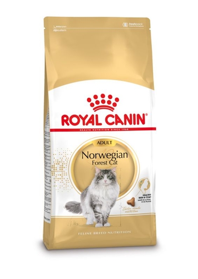 Royal Canin Norwegian Forest Cat Adult - 400 g - kattenbrokken