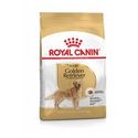 Royal Canin Golden Retriever 12 KG - hondenbrokken