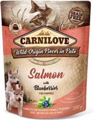 Carnilove Dog Pouch Pate Salmon with Blueberries for Puppy's 300 gram -  - Honden droogvoer hondenbrokken