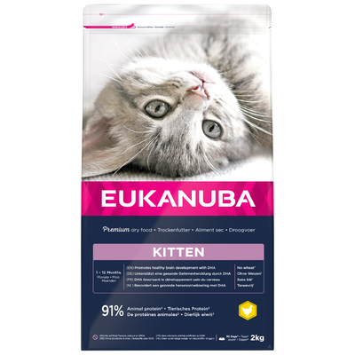 Eukanuba Healthy Start Kitten Kattenvoer - Voordeelpakket: 3 x 2 kg - kattenbrokken