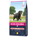 Eukanuba Senior Large Breed, met kip 2 x 15 kg - hondenbrokken