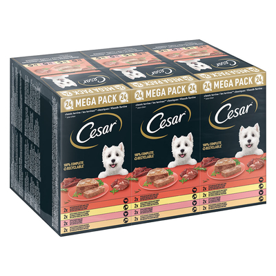 Megapak Cesar Kuipjes 24 x 150 g Hondenvoer - Classic Terrine - natvoer honden