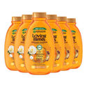 Garnier Loving Blends Argan & Cameliaolie shampoo - 6 x 300 ml - voordeelverpakking
