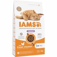 IAMS Hairball Control volwassen kattenbrokken - 3 kg