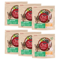 Purina One Mini/Small Active kip & rijst hondenbrokken voor volwassen honden - 18 kg