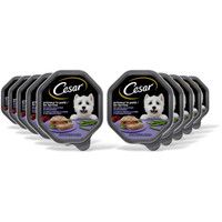 Cesar Primeur in pâté (lam en kalkoen), natvoer voor volwassen honden - 10 stuks