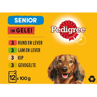 Pedigree Senior Vlees in Gelei natvoer voor honden - 1,2 kg