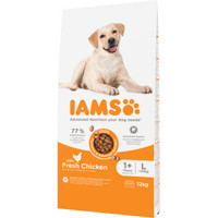 IAMS Adult Large Breed hondenbrokken met kip - 24 kg