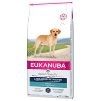 Eukanuba Breed Specific Labrador Retriever volwassen hondenbrokken - 24 kg