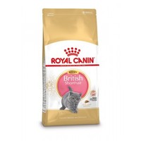 Royal Canin British Shorthair Kitten kattenbrokken - 10 kg