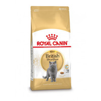 Royal Canin British Shorthair volwassen kattenbrokken - 10 kg