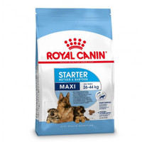 Royal Canin Maxi Puppy Starter Mother and Babydog hondenbrokken - 30 kg