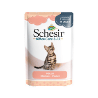 Schesir Kitten Care 3-12 maanden kip in gelei natvoer voor katten - 85 gram