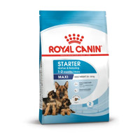 Royal Canin Maxi Starter Mother & Baby hondenbrokken - 15 kg