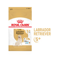 Royal Canin Mature Adult Labrador Retriever 5+ hondenbrokken - 12 kg