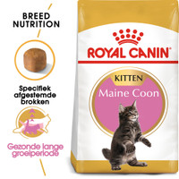 Royal Canin Maine Coon Kitten kattenbrokken - 10 kg
