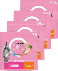 Purina One Junior kip & volkoren granen kattenbrokken - 6 kg