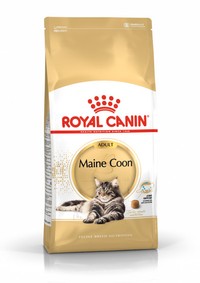 Royal Canin Maine Coon volwassen kattenbrokken - 10 kg